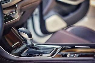 cc今日吃瓜网,揭秘娱乐圈最新热点，带你领略幕后故事