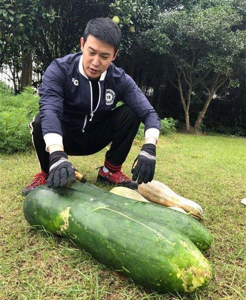 河美吃瓜爆料,揭秘娱乐圈背后的惊人真相